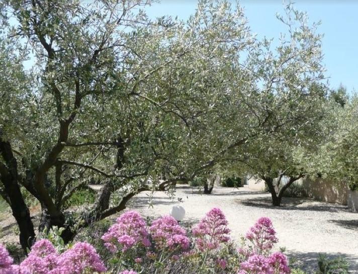 Saint-Rémy-de-Provence Le Mazet 40 빌라 외부 사진