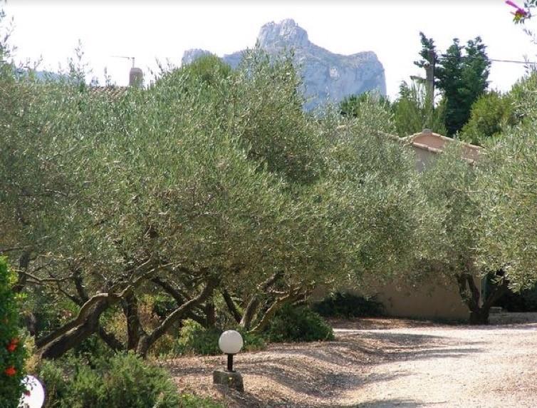 Saint-Rémy-de-Provence Le Mazet 40 빌라 외부 사진